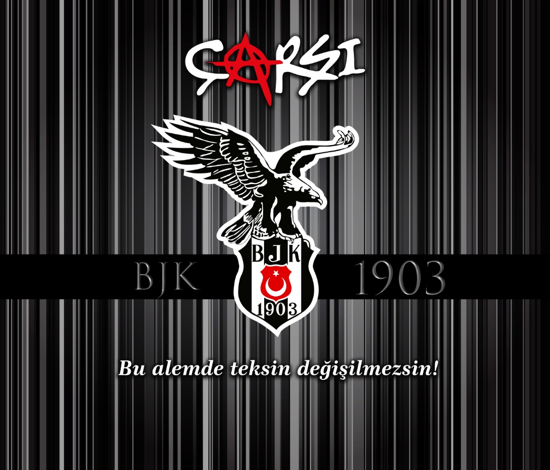 Dekorsan duvar kağıdı uygulaması — örnek 13