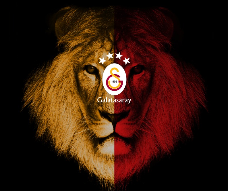 Dekorsan duvar kağıdı uygulaması — örnek 8